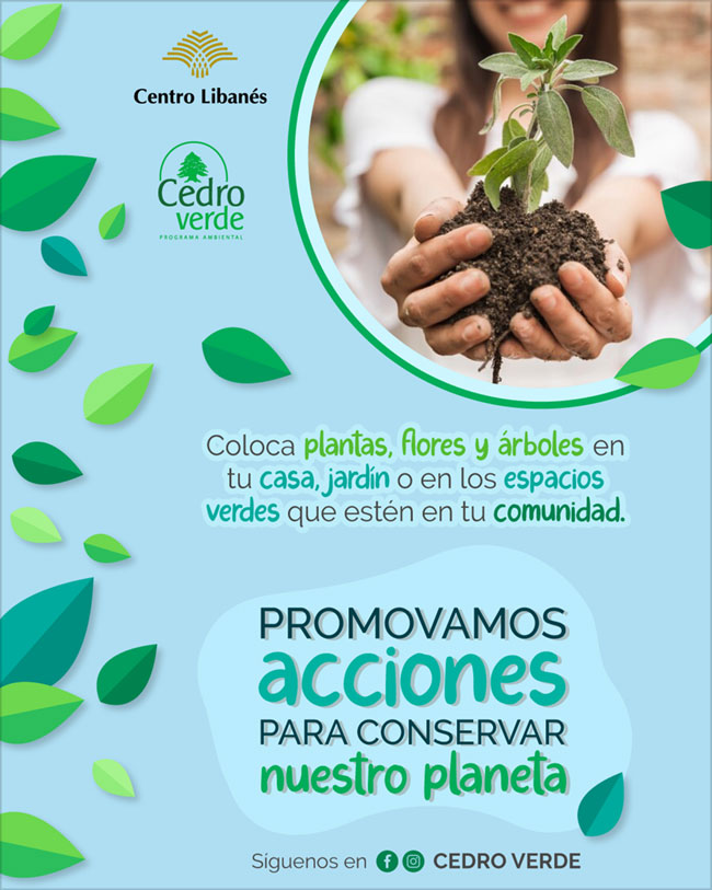 Centro Libanés Campaña Cedro Verde Acciones para conservar nuestro planeta